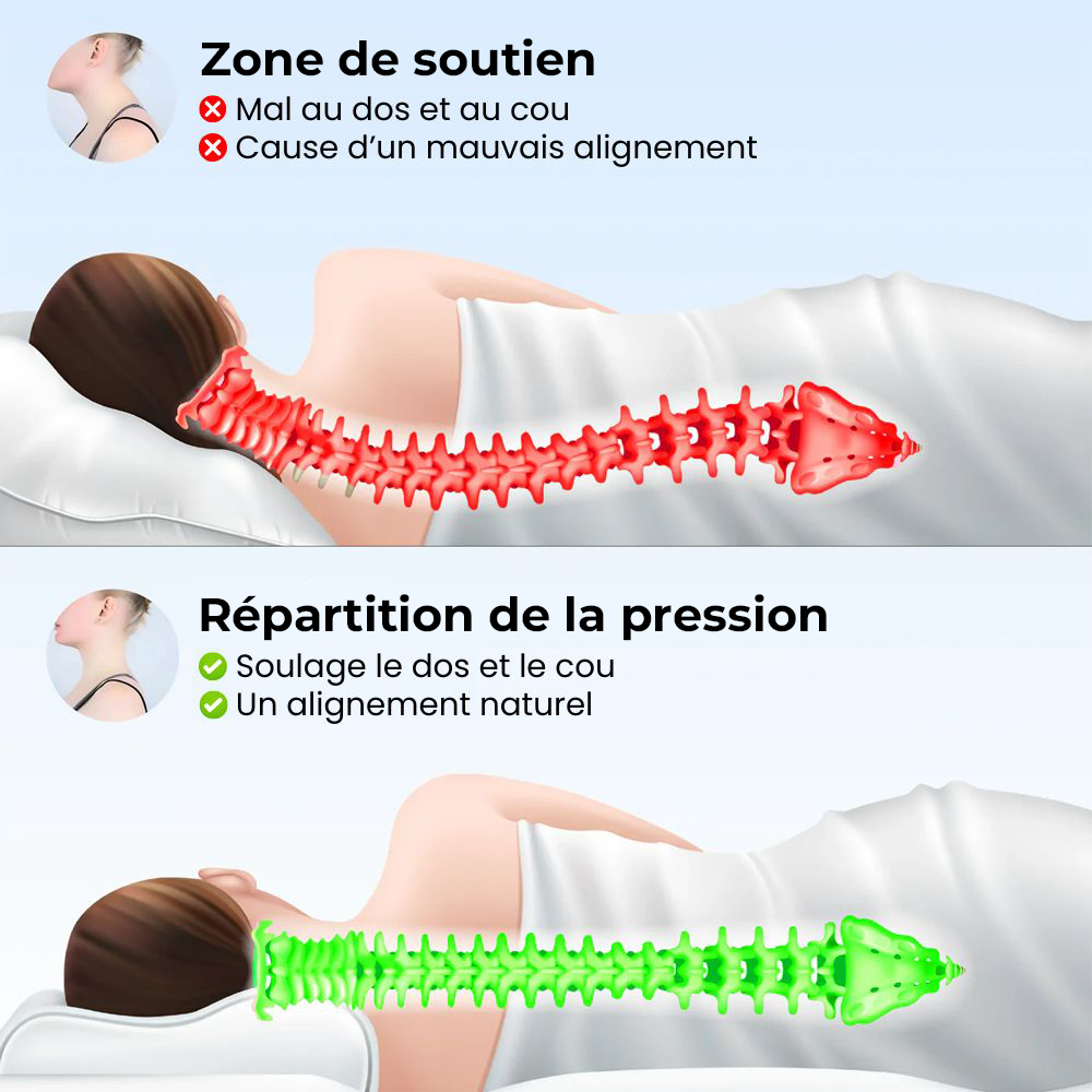 Oreiller Ergonomique Cervical - CerviMed